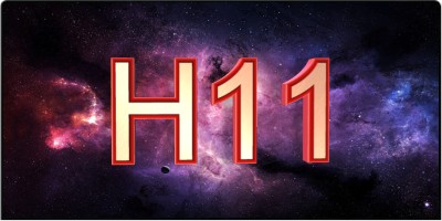 H11半岛网站首页登录官网